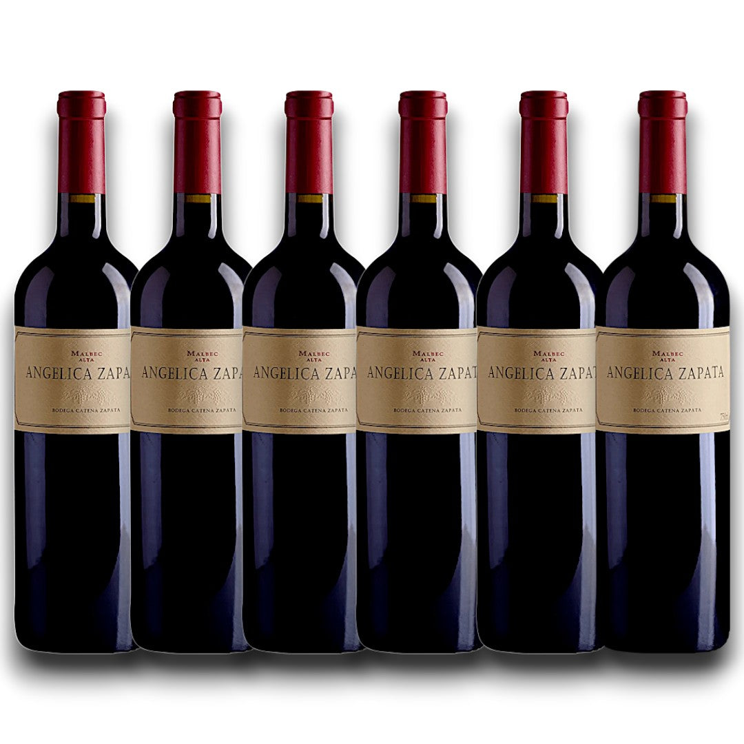 ワイン ANGELICA ZAPATA 2020 Malbec 750ml 2020 Catena Zapata Angelica Zapata Malbec tinto